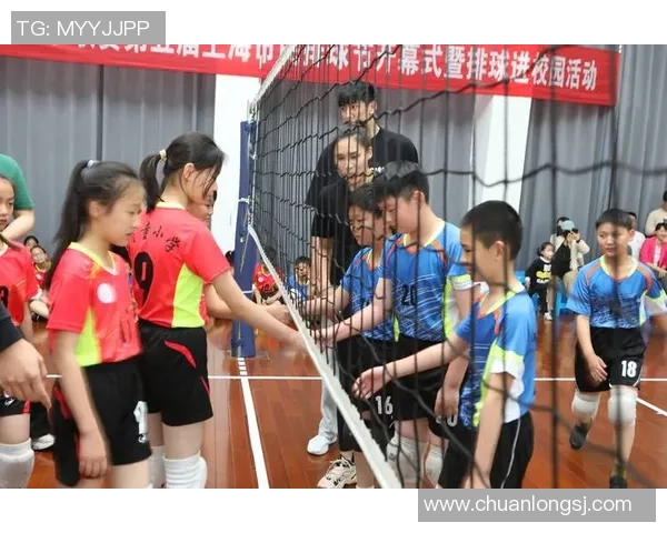 陈强专访揭秘排球成功秘诀与团队协作的重要性